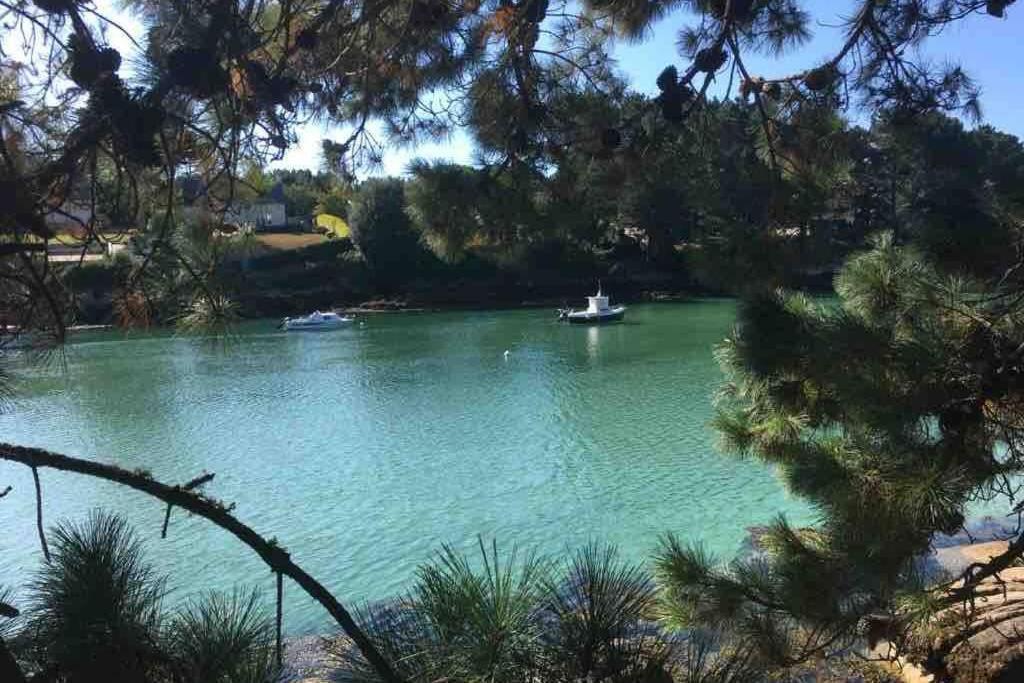 L'Olivier Du Cabellou, A 900 M Des Plages Concarneau Exteriér fotografie