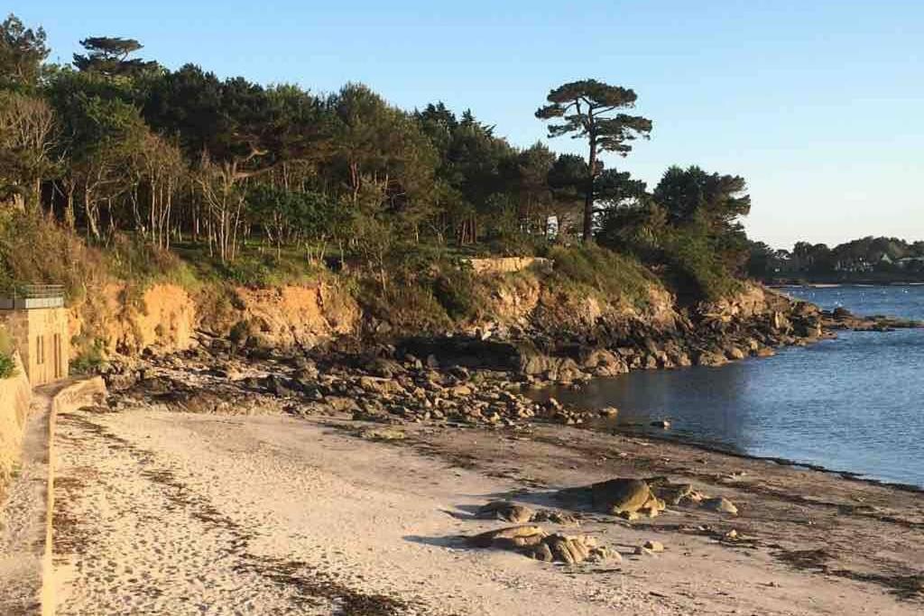 L'Olivier Du Cabellou, A 900 M Des Plages Concarneau Exteriér fotografie