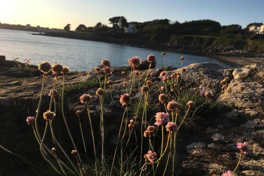 L'Olivier Du Cabellou, A 900 M Des Plages Concarneau Exteriér fotografie